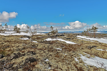 Similar image 6257844