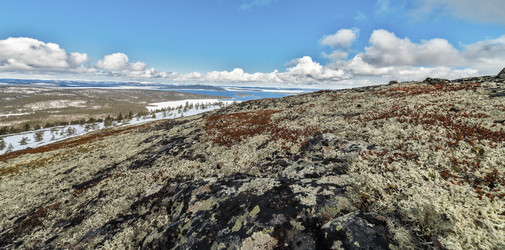 Similar image 6257854