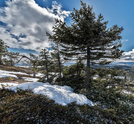 Similar image 6257869