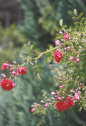 Similar image 6257875