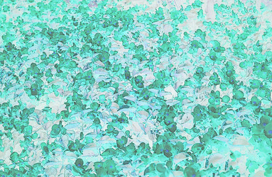 Similar image 6257876