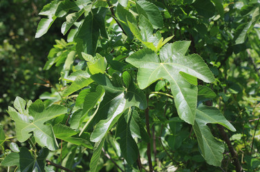 Similar image 6257879