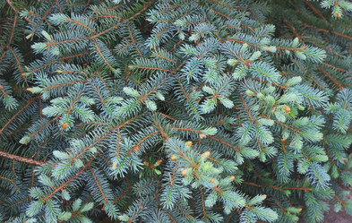 Similar image 6257906