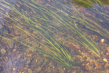 Similar image 6257918