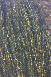 Similar image 6257919