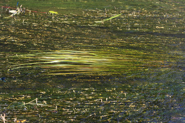 Similar image 6257920