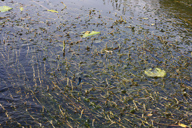 Similar image 6257922