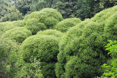 Similar image 6257930