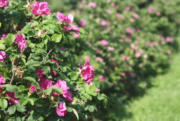 Similar image 6257932