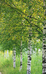 Similar image 6257939