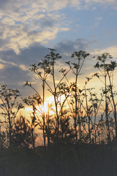 Similar image 6257940