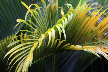 Similar image 6258114