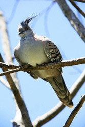 Similar image 6258117