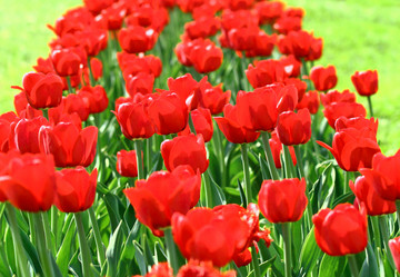 Similar image 6258211