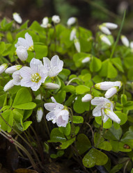 Similar image 6258443