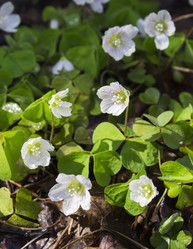 Similar image 6258444