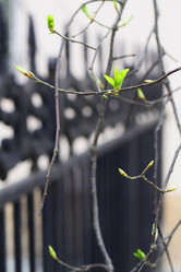 Similar image 6258483