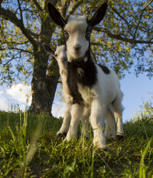 Similar image 6258561