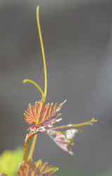 Similar image 6258729