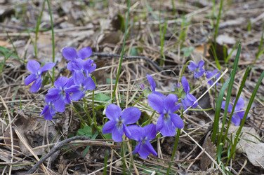 Similar image 6258782