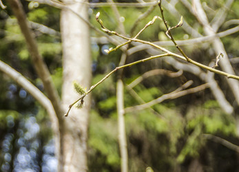 Similar image 6258787