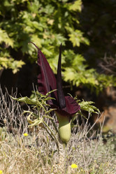 Similar image 6258791