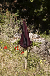 Similar image 6258792