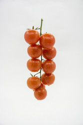 Similar image 6258807