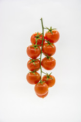 Similar image 6258808