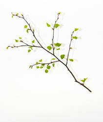 Similar image 6258812