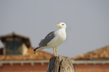 Similar image 6258824