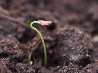 Similar image 6259039