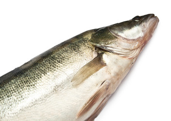 Similar image 6259044