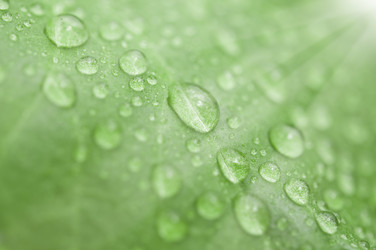 Similar image 6259049