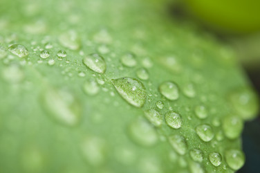 Similar image 6259053