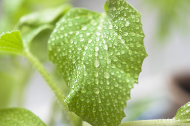 Similar image 6259054