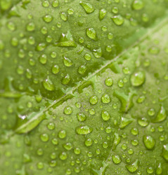 Similar image 6259055