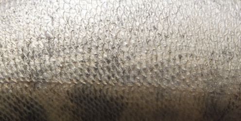 Similar image 6259066