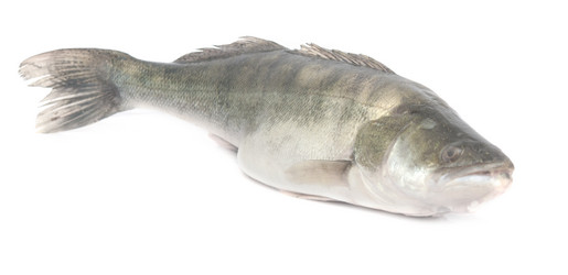 Similar image 6259071