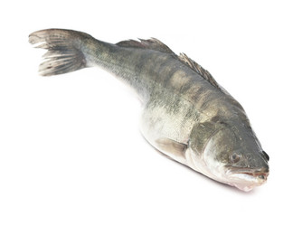 Similar image 6259072