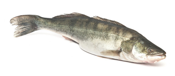 Similar image 6259074