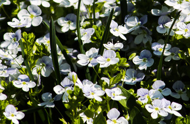 Similar image 6259125