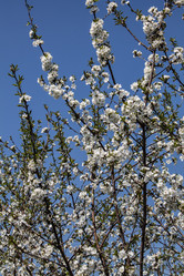 Similar image 6259126