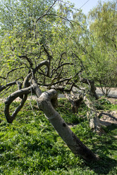 Similar image 6259127