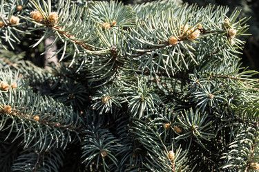 Similar image 6259128