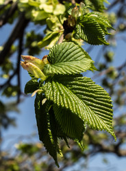 Similar image 6259129