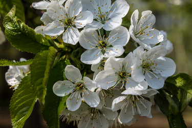 Similar image 6259130