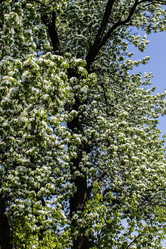 Similar image 6259131