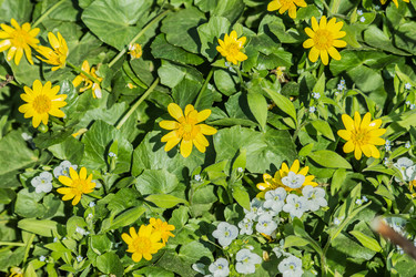 Similar image 6259132