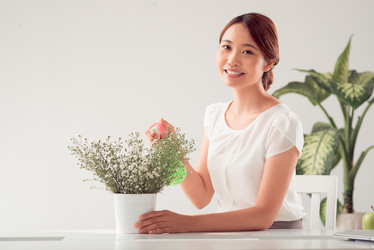 Similar image 6259207